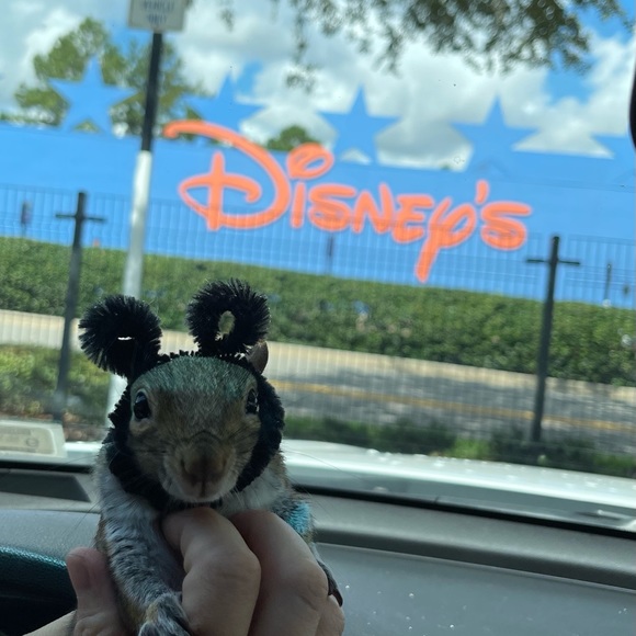 Meet your Posher, Angie - Picture 1 of 1